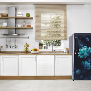 LG 185 L 3 Star Direct-Cool Single Door Refrigerator (GL-B201ABCD, Blue Charm, Fast Ice Making, Gross Volume- 190 L)