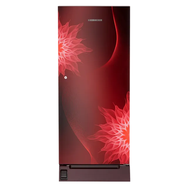 Ref Liebherr DFLMC 2021 (091560451)