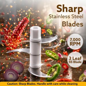 AGARO Elite Rechargeable Mini Electric Chopper, Food Grade Bowl, Stainless Steel Blades, Rechargeable, One Touch Operation, for Chopping Garlic, Ginger, Onion, Vegetable, Nuts, 250 Ml, Black