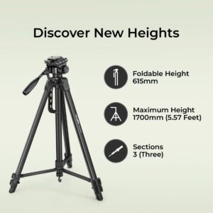 DIGITEK (DTR 550 LW) 67 Inch Foldable Tripod Stand with Phone Holder & 360° Ball Head, 5kg Load Capacity, Aluminum Alloy Legs with Rubberized Feet & Flip Locks, Carry Bag, for Photo & Video Shoots