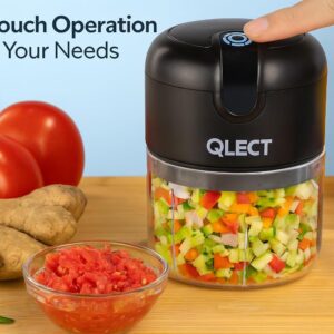 QLECT Electric Mini Chopper, USB Rechargeable Garlic Chopper with Stainless Steel Blades, Portable Food Processor for Onion, Nuts, Ginger, Vegetables & Baby Food (250ml, Black)