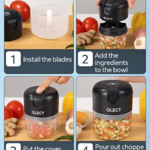 QLECT Electric Mini Chopper, USB Rechargeable Garlic Chopper with Stainless Steel Blades, Portable Food Processor for Onion, Nuts, Ginger, Vegetables & Baby Food (250ml, Black)