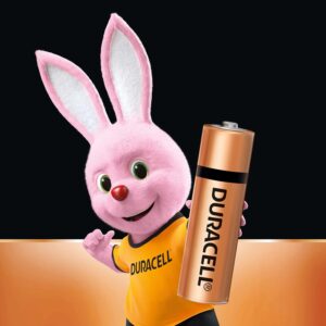 Duracell Alkaline AA Battery, Pack of 10, Everyday Devices, Clock, Toy, Remote